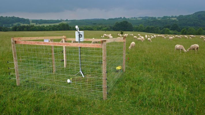 Exploratorium Schwäbische Alb, Messtechnik auf ungedüngter Schafsweide. Neben allgemeinen meteorologischen Daten wie Lufttemperatur, Oberflächentemperatur und relativer Luftfeuchte werden außerdem Messungen im Erdreich vorgenommen. Fünf Messfühler werden im Oberboden eingesetzt, um kontinuierlich Bodentemperatur und -feuchte zu erfassen. Foto: Martin Fellendorf